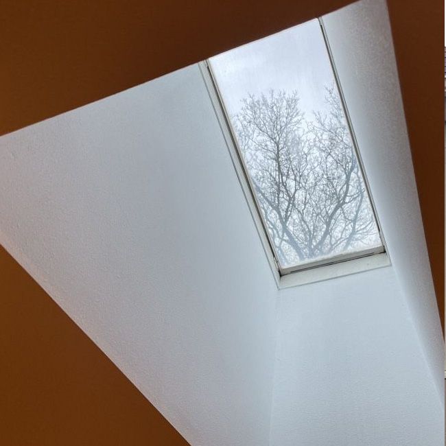 skylight-up photo